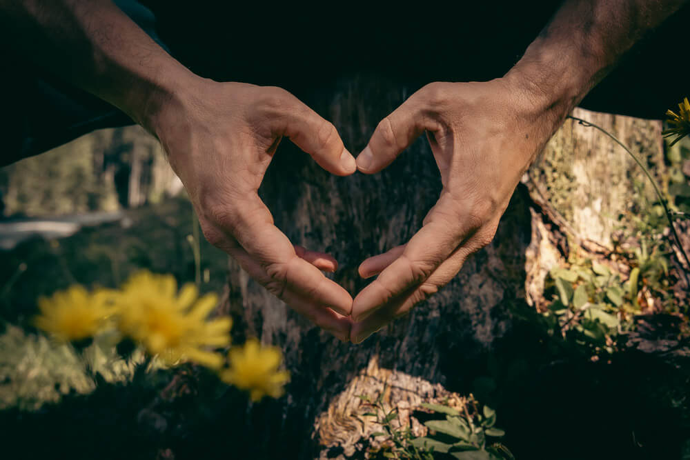 Zwei Hände formen ein Herz vor einem Baum